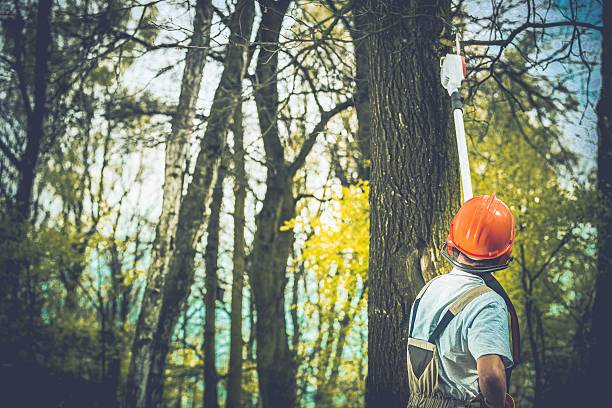 Mulching Services in Wildwood Lake, TN